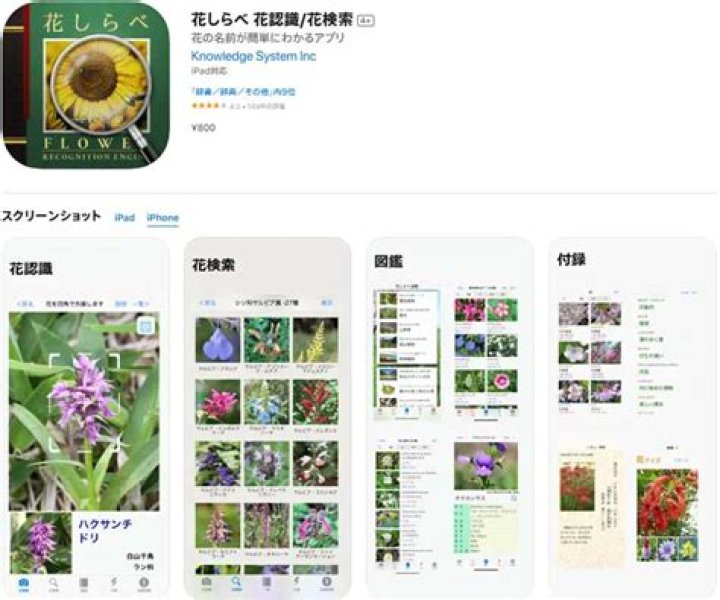 丹 菊 逸 治の意味を調べるための検索手順イメージ