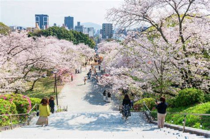 「多 肥 西 公園」とは？場所・見どころ・楽しみ方を地図なしで解説