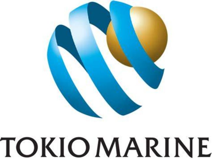 東京海上ホールディングス 株価掲示板の見方—書き込みの真偽と投資判断