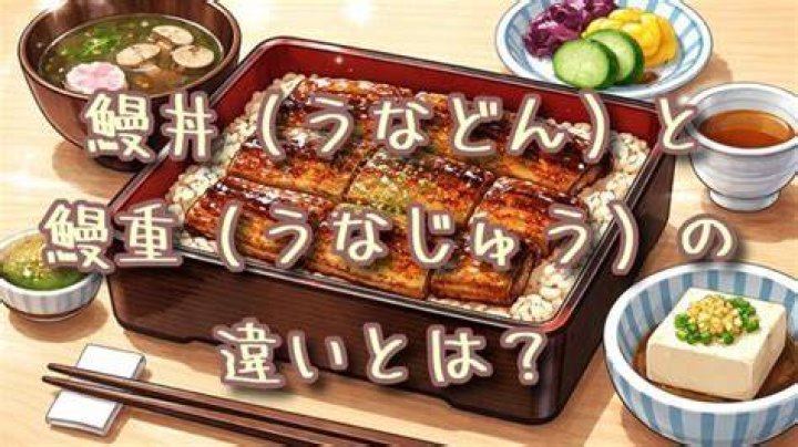 うな丼 と うな重 の 違い：食べ方・器・味の差を一発で理解